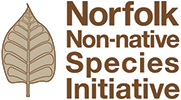 Norfolk Non-native Species Initiation